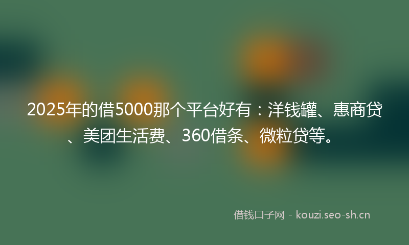 2025年的借5000那个平台好有：洋钱罐、惠商贷、美团生活费、360借条、微粒贷等。