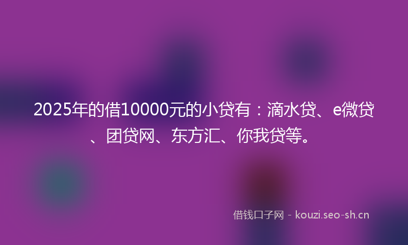 2025年的借10000元的小贷有：滴水贷、e微贷、团贷网、东方汇、你我贷等。