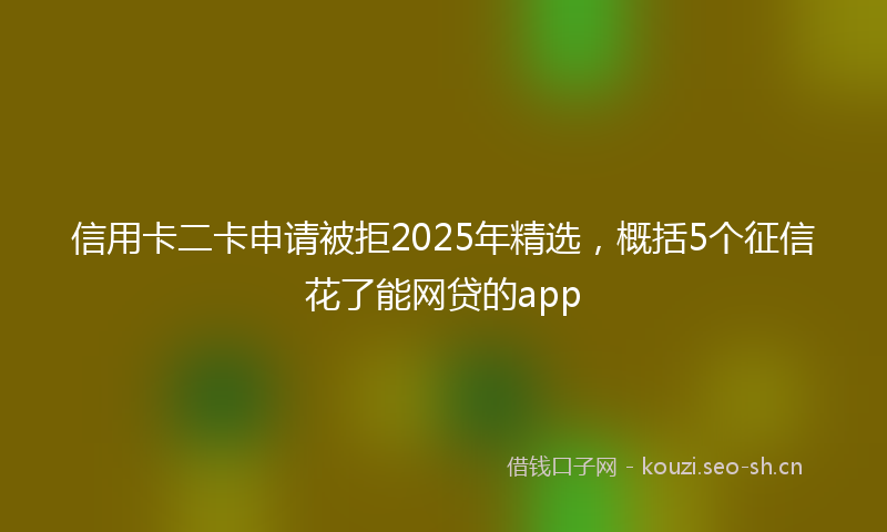 信用卡二卡申请被拒2025年精选，概括5个征信花了能网贷的app