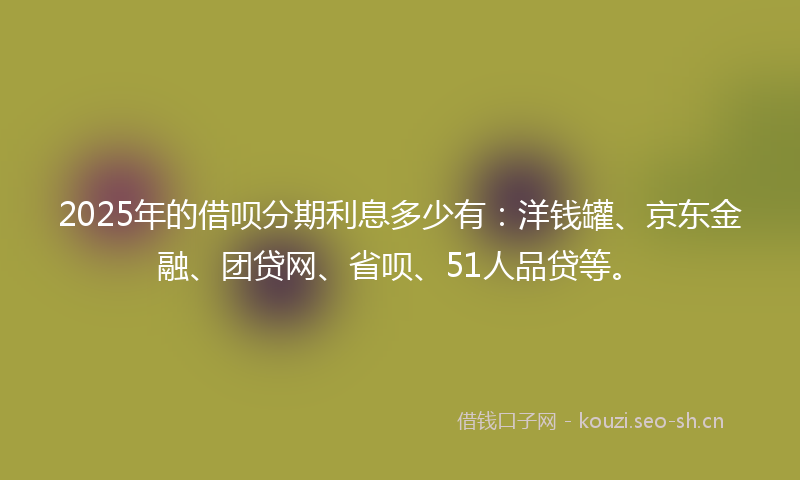 2025年的借呗分期利息多少有:洋钱罐、京东金融、团贷网、省呗、51人品贷等。