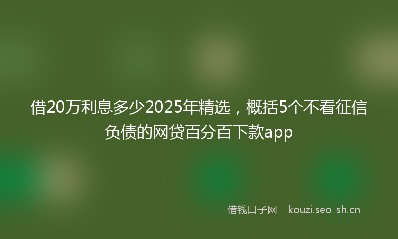 借20万利息多少2025年精选，概括5个不看征信负债的网贷百分百下款app