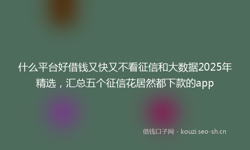 什么平台好借钱又快又不看征信和大数据2025年精选，汇总五个征信花居然都下款的app