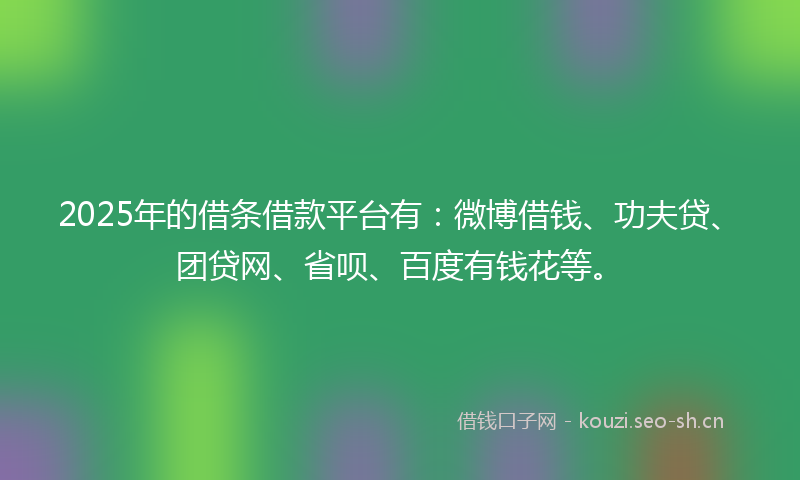 2025年的借条借款平台有：微博借钱、功夫贷、团贷网、省呗、百度有钱花等。
