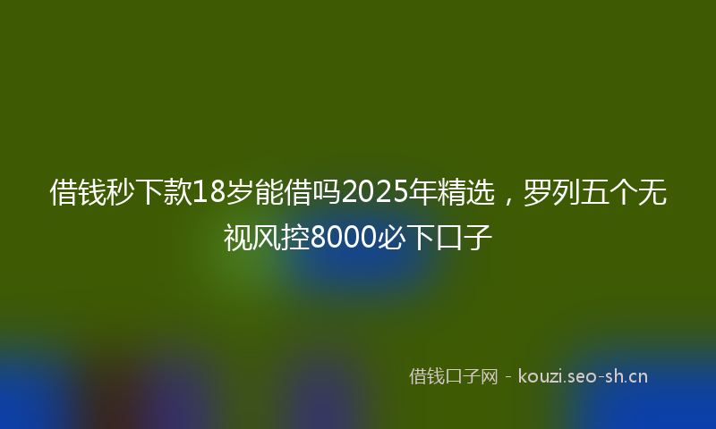 借钱秒下款18岁能借吗2025年精选，罗列五个无视风控8000必下口子