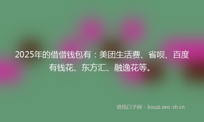 2025年的借借钱包有：美团生活费、省呗、百度有钱花、东方汇、融逸花等。