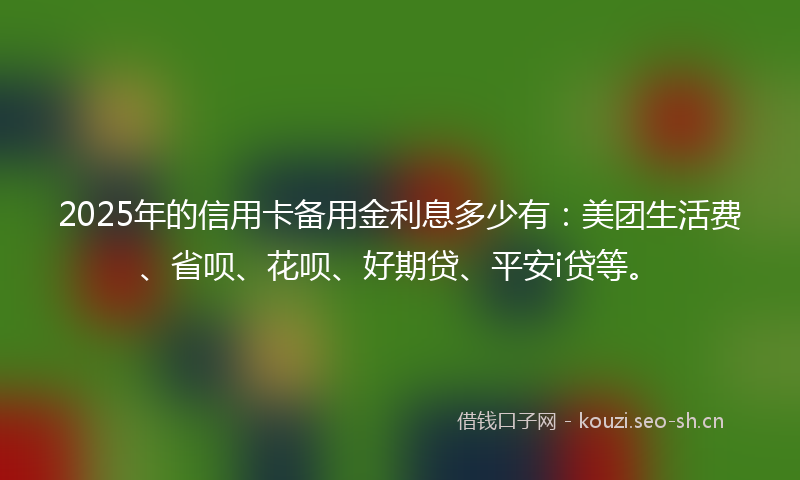 2025年的信用卡备用金利息多少有：美团生活费、省呗、花呗、好期贷、平安i贷等。