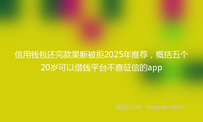 信用钱包还完款果断被拒2025年推荐，概括五个20岁可以借钱平台不查征信的app
