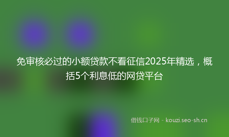免审核必过的小额贷款不看征信2025年精选,概括5个利息低的网贷平台