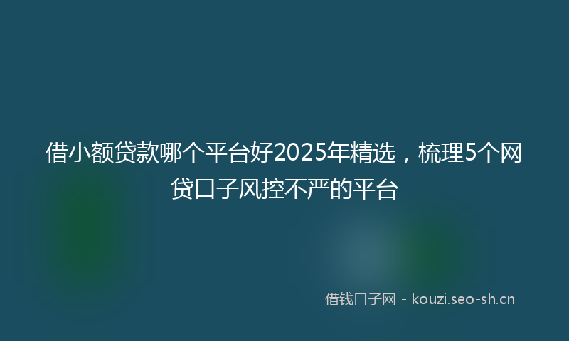 借小额贷款哪个平台好2025年精选，梳理5个网贷口子风控不严的平台