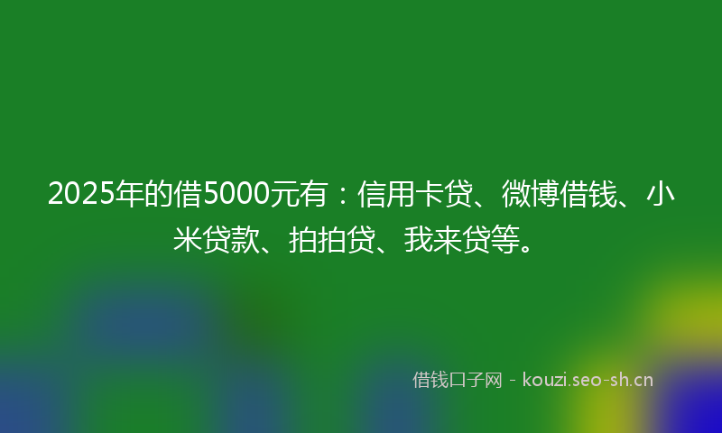 2025年的借5000元有:信用卡贷、微博借钱、小米贷款、拍拍贷、我来贷等。