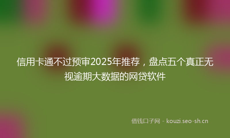 信用卡通不过预审2025年推荐，盘点五个真正无视逾期大数据的网贷软件