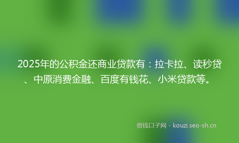 2025年的公积金还商业贷款有：拉卡拉、读秒贷、中原消费金融、百度有钱花、小米贷款等。
