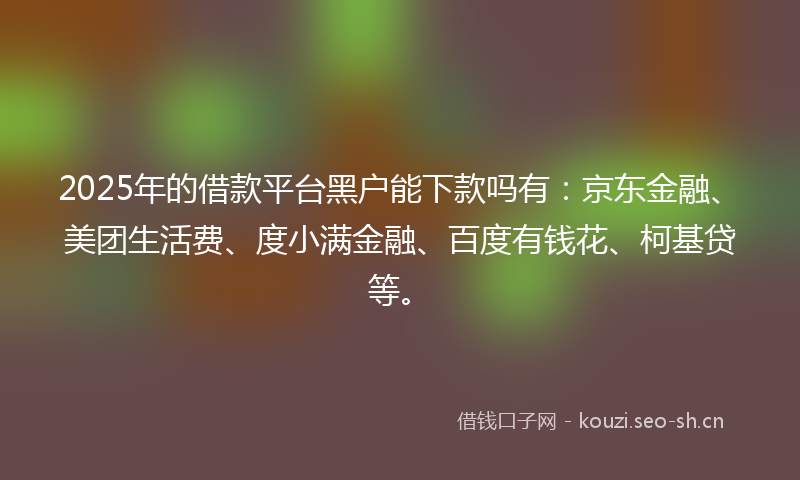 2025年的借款平台黑户能下款吗有：京东金融、美团生活费、度小满金融、百度有钱花、柯基贷等。
