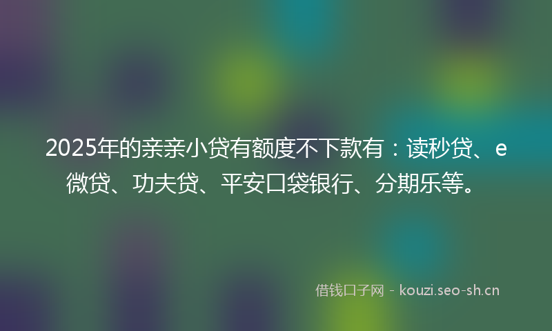 2025年的亲亲小贷有额度不下款有：读秒贷、e微贷、功夫贷、平安口袋银行、分期乐等。