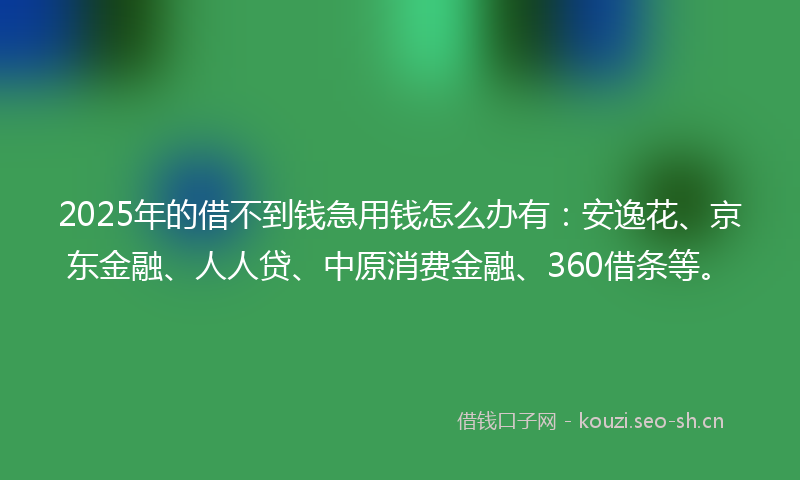 2025年的借不到钱急用钱怎么办有：安逸花、京东金融、人人贷、中原消费金融、360借条等。