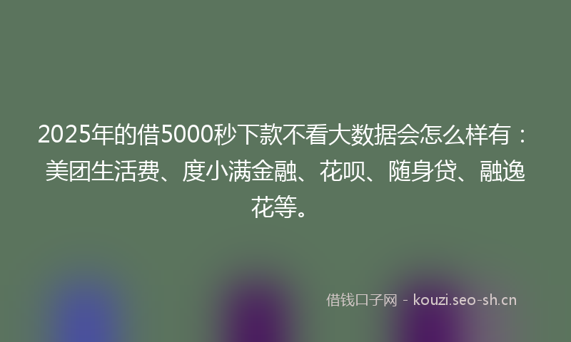 2025年的借5000秒下款不看大数据会怎么样有：美团生活费、度小满金融、花呗、随身贷、融逸花等。