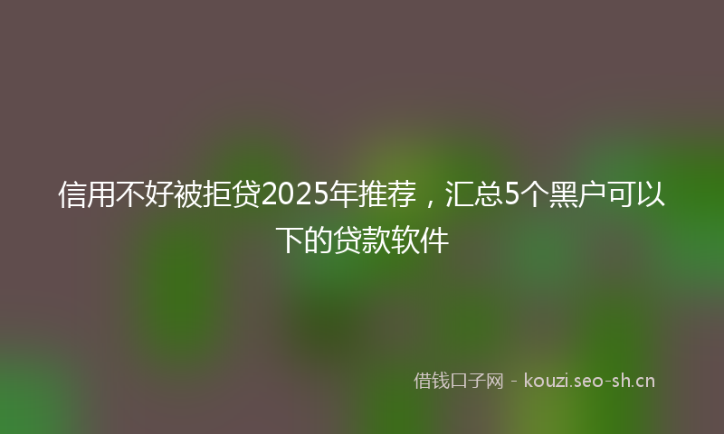 信用不好被拒贷2025年推荐,汇总5个黑户可以下的贷款软件