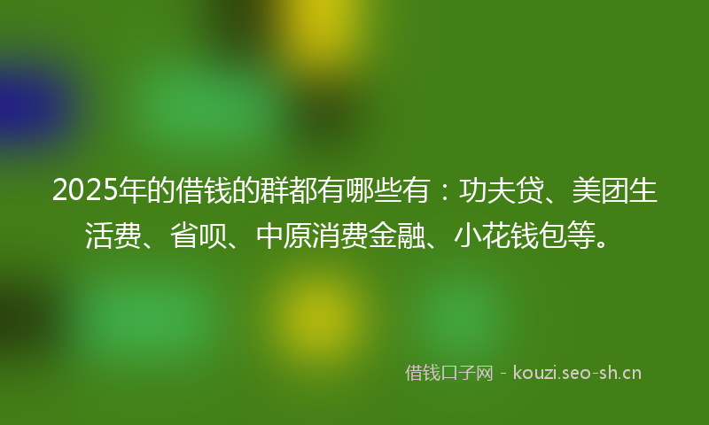 2025年的借钱的群都有哪些有：功夫贷、美团生活费、省呗、中原消费金融、小花钱包等。