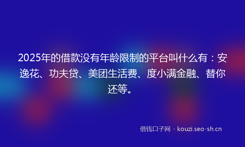 2025年的借款没有年龄限制的平台叫什么有：安逸花、功夫贷、美团生活费、度小满金融、替你还等。