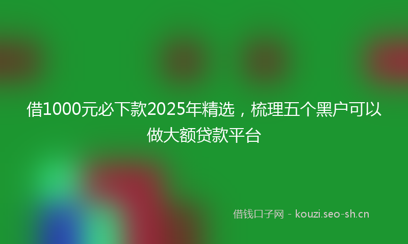 借1000元必下款2025年精选，梳理五个黑户可以做大额贷款平台