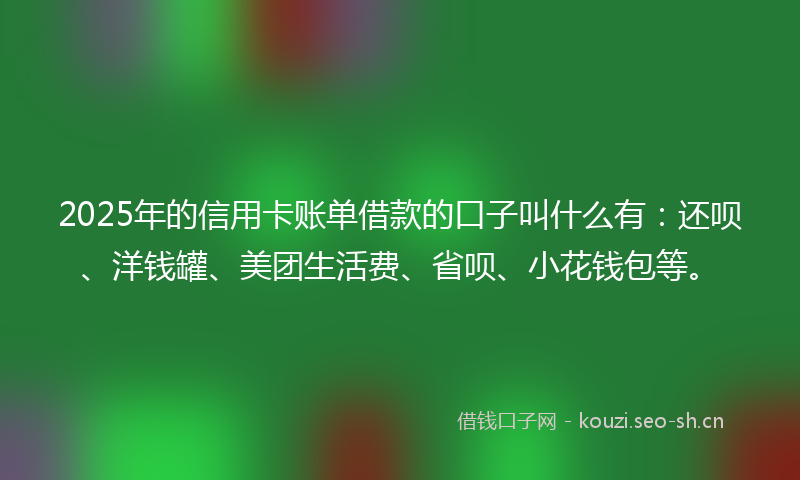2025年的信用卡账单借款的口子叫什么有：还呗、洋钱罐、美团生活费、省呗、小花钱包等。