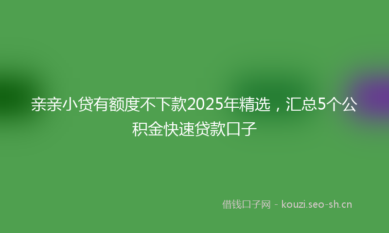 亲亲小贷有额度不下款2025年精选，汇总5个公积金快速贷款口子