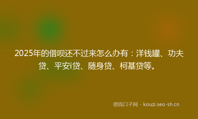 2025年的借呗还不过来怎么办有：洋钱罐、功夫贷、平安i贷、随身贷、柯基贷等。