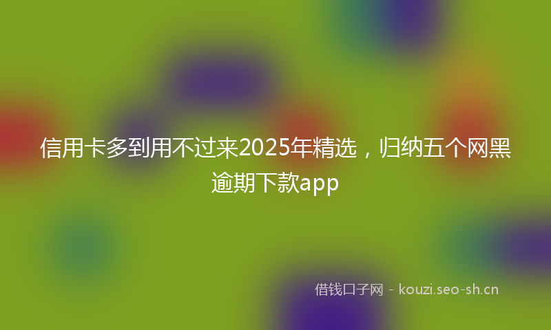 信用卡多到用不过来2025年精选，归纳五个网黑逾期下款app