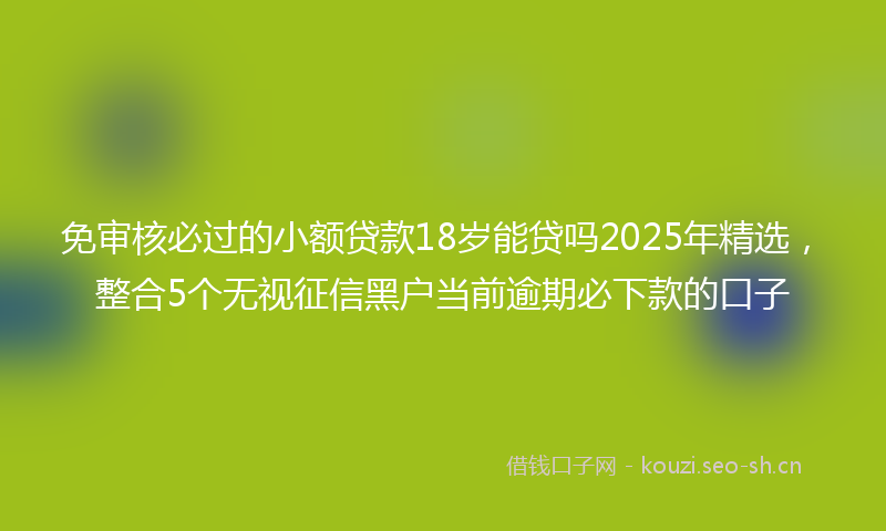 免审核必过的小额贷款18岁能贷吗2025年精选，整合5个无视征信黑户当前逾期必下款的口子