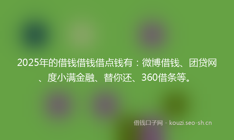 2025年的借钱借钱借点钱有：微博借钱、团贷网、度小满金融、替你还、360借条等。