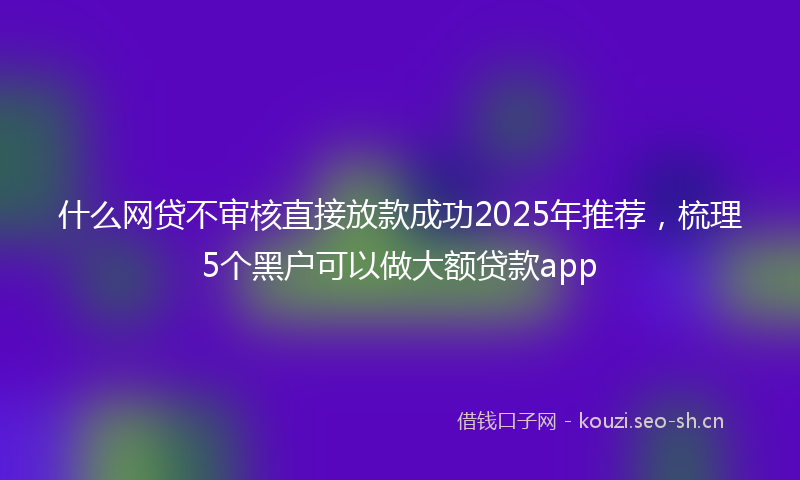 什么网贷不审核直接放款成功2025年推荐，梳理5个黑户可以做大额贷款app