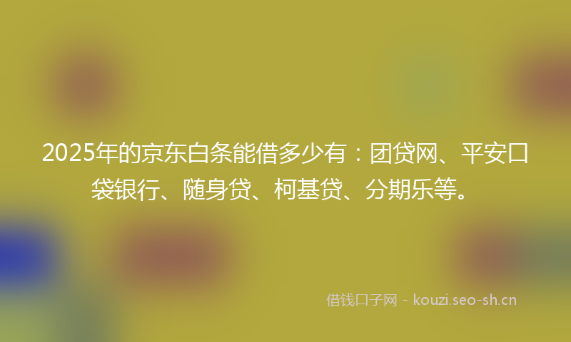2025年的京东白条能借多少有：团贷网、平安口袋银行、随身贷、柯基贷、分期乐等。