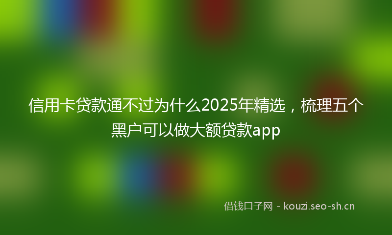 信用卡贷款通不过为什么2025年精选，梳理五个黑户可以做大额贷款app