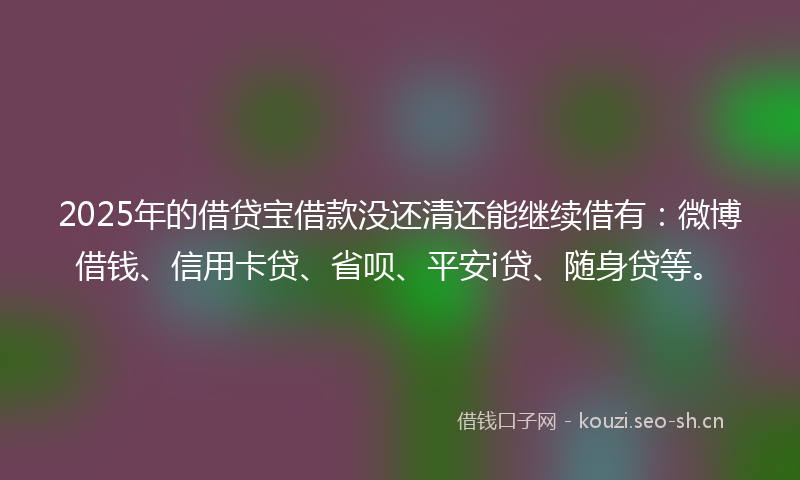 2025年的借贷宝借款没还清还能继续借有：微博借钱、信用卡贷、省呗、平安i贷、随身贷等。