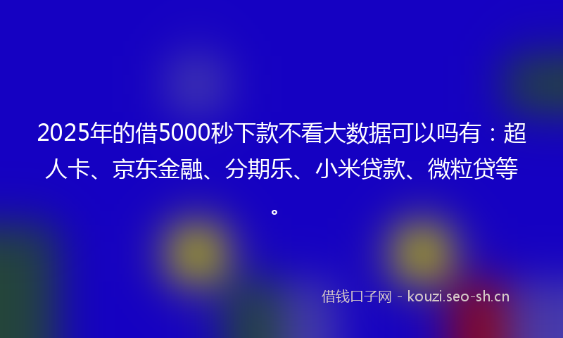 2025年的借5000秒下款不看大数据可以吗有：超人卡、京东金融、分期乐、小米贷款、微粒贷等。