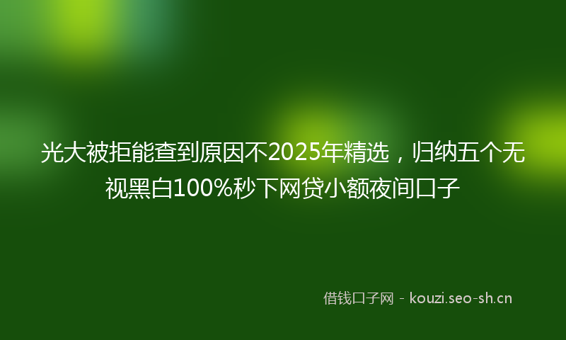 光大被拒能查到原因不2025年精选，归纳五个无视黑白100%秒下网贷小额夜间口子