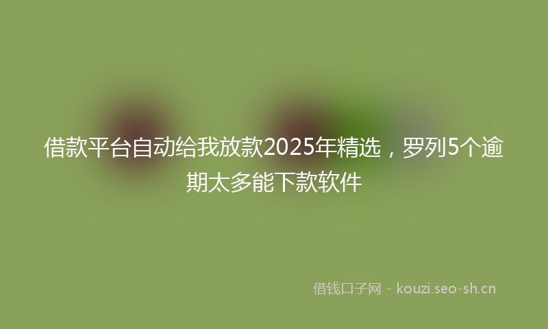 借款平台自动给我放款2025年精选，罗列5个逾期太多能下款软件