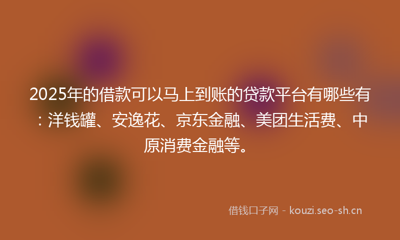 2025年的借款可以马上到账的贷款平台有哪些有：洋钱罐、安逸花、京东金融、美团生活费、中原消费金融等。