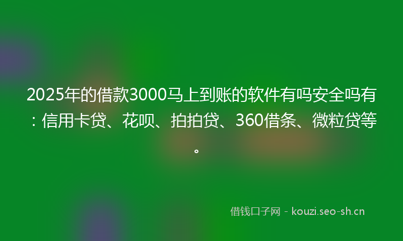 2025年的借款3000马上到账的软件有吗安全吗有：信用卡贷、花呗、拍拍贷、360借条、微粒贷等。