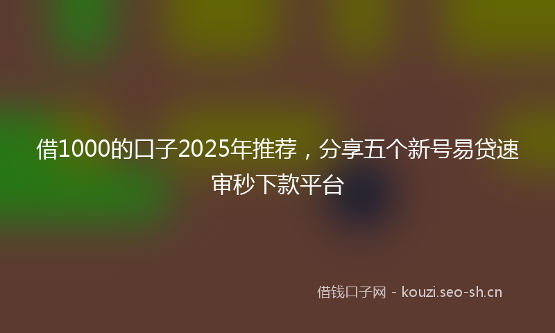 借1000的口子2025年推荐,分享五个新号易贷速审秒下款平台