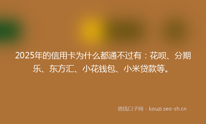 2025年的信用卡为什么都通不过有:花呗、分期乐、东方汇、小花钱包、小米贷款等。