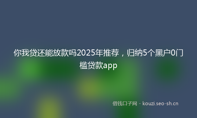 你我贷还能放款吗2025年推荐，归纳5个黑户0门槛贷款app
