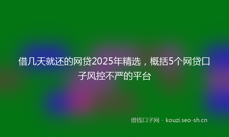 借几天就还的网贷2025年精选，概括5个网贷口子风控不严的平台