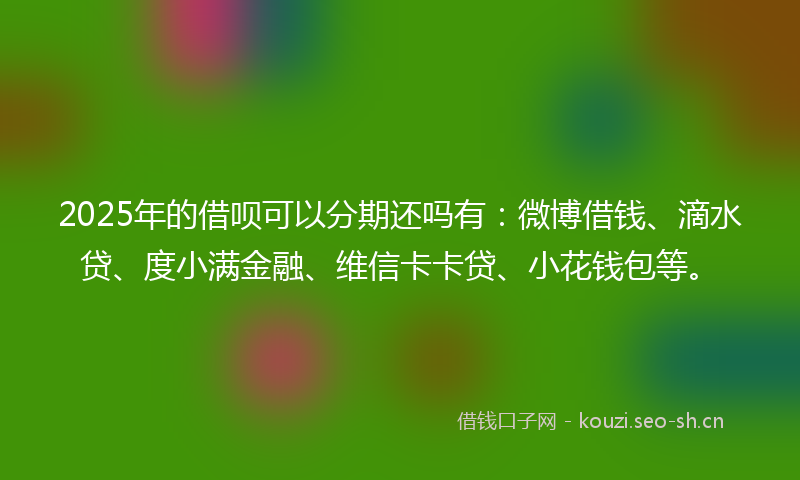 2025年的借呗可以分期还吗有：微博借钱、滴水贷、度小满金融、维信卡卡贷、小花钱包等。