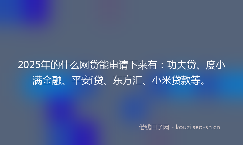 2025年的什么网贷能申请下来有：功夫贷、度小满金融、平安i贷、东方汇、小米贷款等。