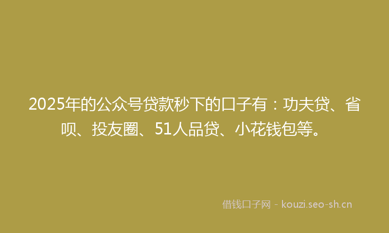 2025年的公众号贷款秒下的口子有：功夫贷、省呗、投友圈、51人品贷、小花钱包等。