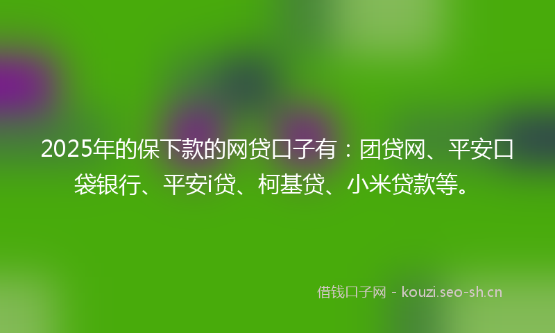 2025年的保下款的网贷口子有：团贷网、平安口袋银行、平安i贷、柯基贷、小米贷款等。