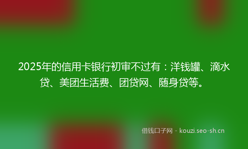 2025年的信用卡银行初审不过有：洋钱罐、滴水贷、美团生活费、团贷网、随身贷等。