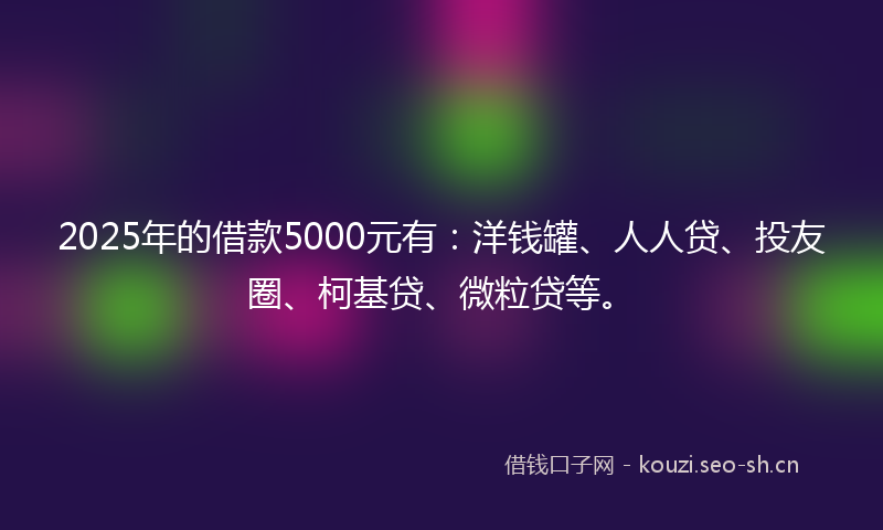 2025年的借款5000元有：洋钱罐、人人贷、投友圈、柯基贷、微粒贷等。