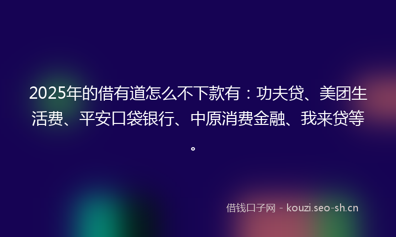2025年的借有道怎么不下款有：功夫贷、美团生活费、平安口袋银行、中原消费金融、我来贷等。